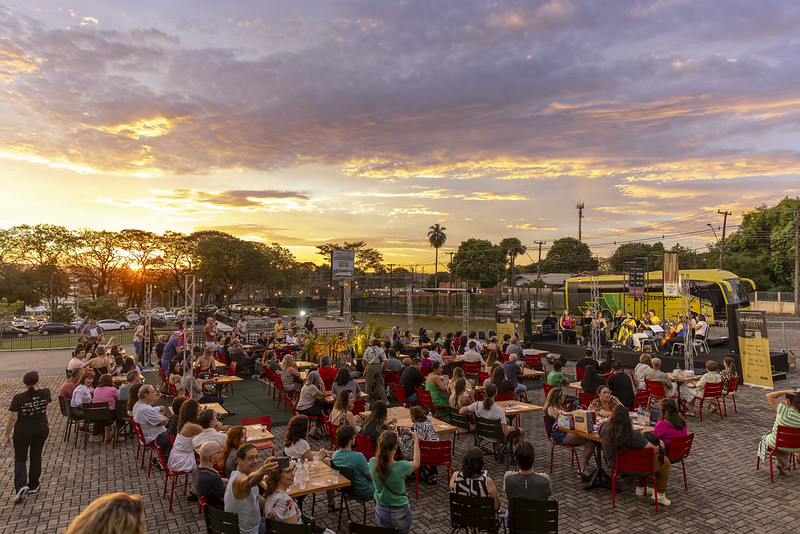 54423778977_a1f885b294_c